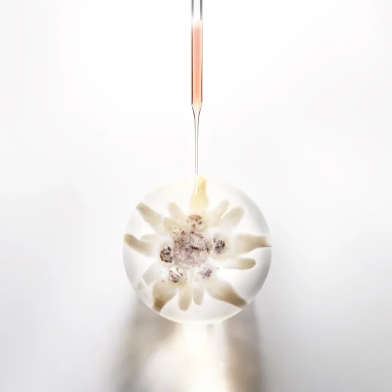 Prodigy Cellglow Deep Renewing Traitement Concentré