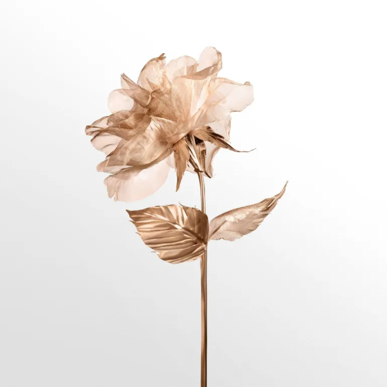 ROSE GOLD EAU DE PARFUM VAPORISATEUR