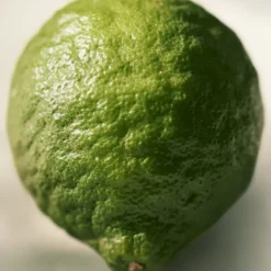 ROSE NATURELLE INTENSE EAU PARFUM VAPORISATEUR