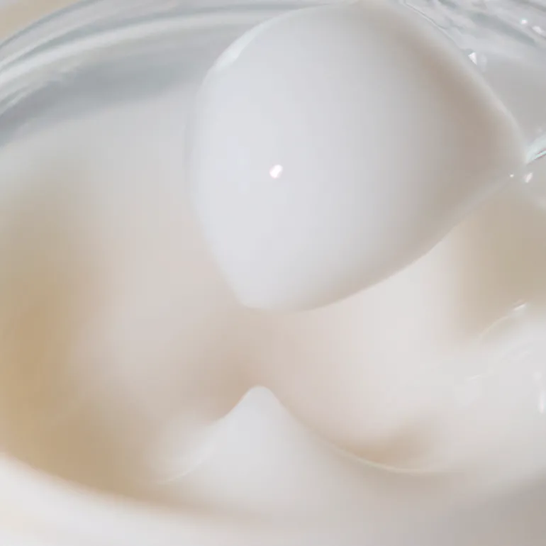 SENSAI ABSOLUTE SILK CREAM 40ml