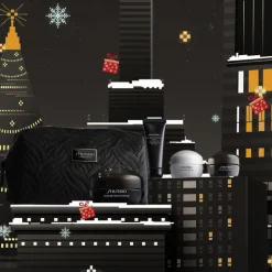 SET FUTURE SOLUTION HOLIDAY