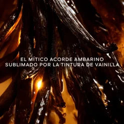 Shalimar L'Essence Eau de Parfum Intense