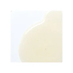 SUBLIME GOLD LUMINOUS SHAMPOO 250 ml