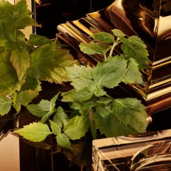 The One for Men Gold Eau de Parfum Intense