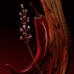 The Scent Magnetic Eau de Parfum pour Femme