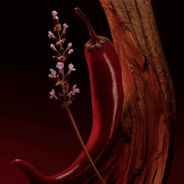 The Scent Magnetic Eau de Parfum pour Femme