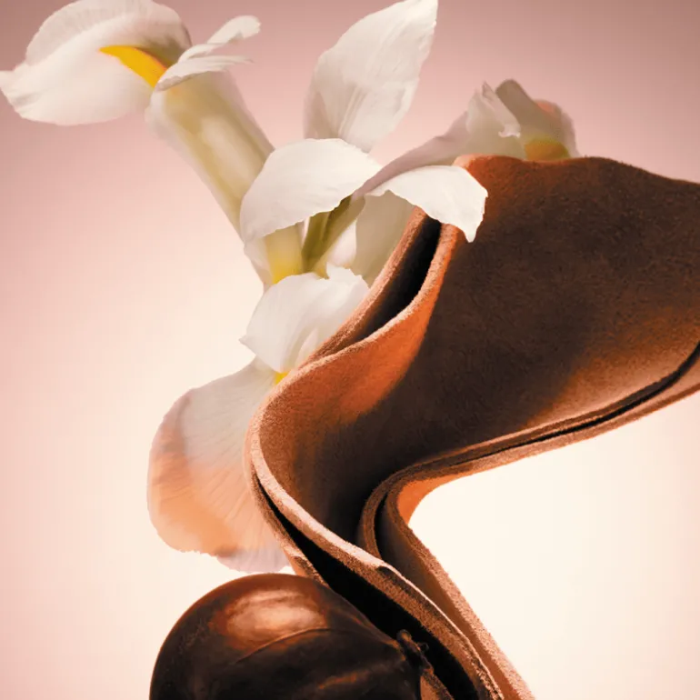 The Scent Parfum pour Hommes