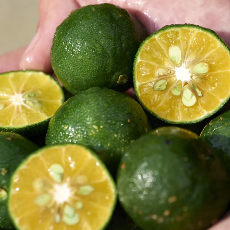 WASO SHIKULIME GEL-TO-OIL CLEANSER 125