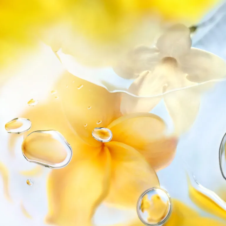 Ô Zenith Eau de Toilette