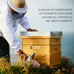 ABEILLE ROYALE LOTION