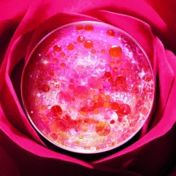 ABSOLUE CRÈME FONDANTE RECHARGE