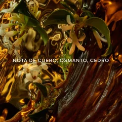 Absolus Allegoria Cuir Intense Eau de Parfum