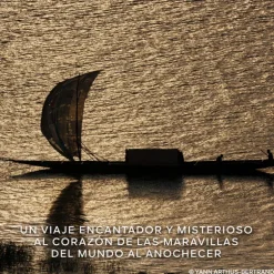 Absolus Allegoria Rose Amira Eau de Parfum