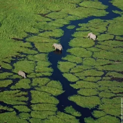 Aqua Allegoria Orange Soleia Eau de Toilette