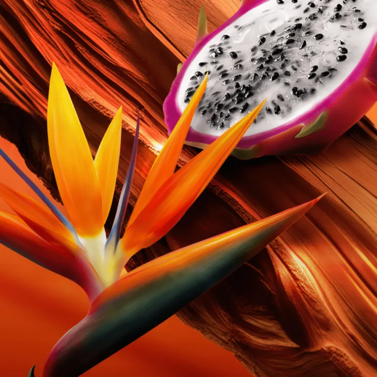 Bali Paradise Eau de Toilette Vaporisateur