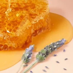 BAUME RÊVE DE MIEL® BAUME ULTRA HYDRATANT BAUME À LÈVRES 15ML