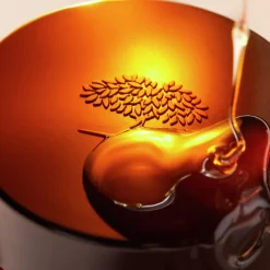 BAUME RÊVE DE MIEL® BAUME ULTRA HYDRATANT BAUME À LÈVRES 15ML