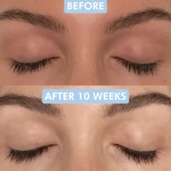 Better Brows Serum
