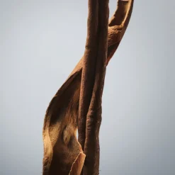 Boss Bottled Eau De Toilette Vaporisateur