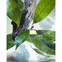 BVLGARI POUR HOMME EAU DE PARFUM