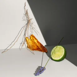 Calvin Klein Defy Eau de Toilette