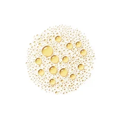 CAPITAL SOLEIL HUILE CORPORELLE PROTECTRICE DES CELLULES VISAGE ET CONSEILS