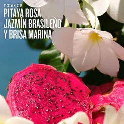 Cheirosa 68 Beija Flor Perfume Mist