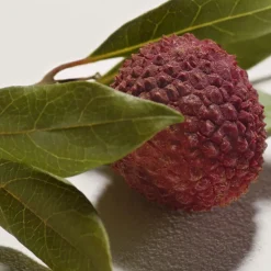 CHLOÉ SIGNATURE EAU DE PARFUM