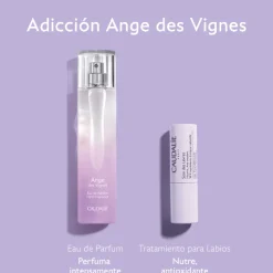 COFFRET ADICCION AGNE DES VIGNES