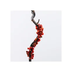 Coffret Loewe 7 Eau de Toilette