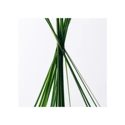 Coffret Loewe Esencia Eau de Toilette