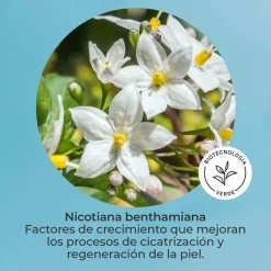 COFFRET SEGLE SKIN FACTOR