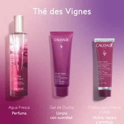 Coffret Thé des Vignes Eau Douce + Cadeaux
