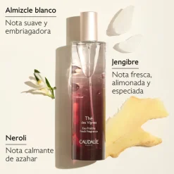 Coffret Thé des Vignes Eau Douce + Cadeaux