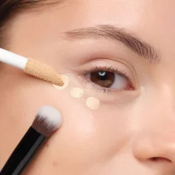 Concealer & Camouflage Brush Premium Quality