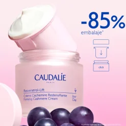CRÈME CACHEMIR REDENSIFIANTE RESVERATROL-LIFT REFILL