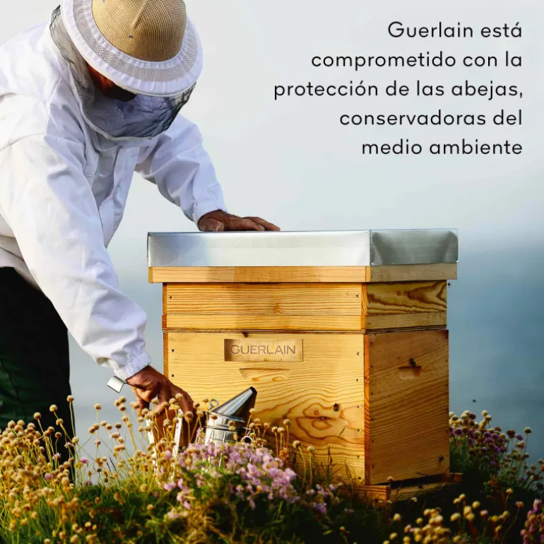 CRÈME DE NUIT ABEILLE ROYALE HONEY TREATMENT