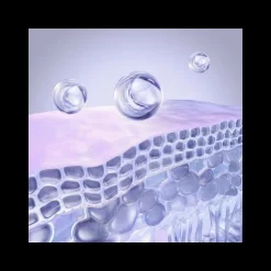 Crème Intensive Hyaluronic+