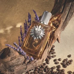 Devotion Pour Homme Parfum