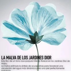 DIOR HYDRA LIFEBrume Sorbet Énergisante - Hydratation active