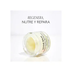 Divine Balm Baume divin