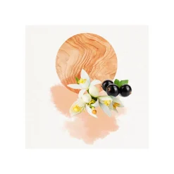 DOJOU FOR HER COFFRET EAU DE TOILETTE