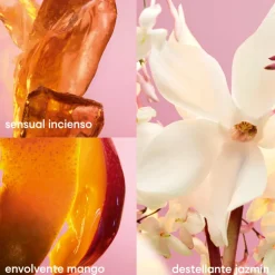 FAME BODY LOTION 200ML