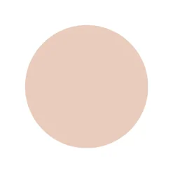 Fond de Teint en Stick Foundation Stick