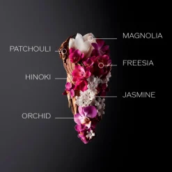 GINZA EDP Vaporizador