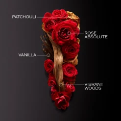 GINZA INTENSE EAU DE PARFUM