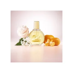 GLORIA VANDERBILT EDT V100ml Promo