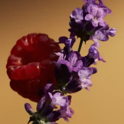 Goddess Parfum pour Femme