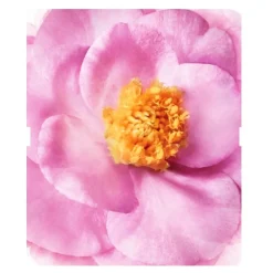 HAIR PRODIGIEUX MASQUE NOURRISSANT PRÉ-SHAMPOOING