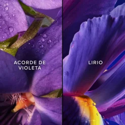 Insolence Coffret Eau de Parfum